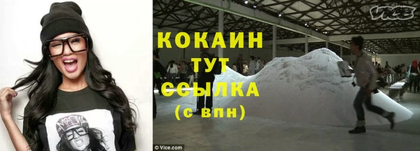 стаф Абинск