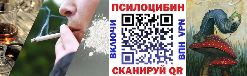 это Telegram  Сысерть  Псилоцибиновые грибы Magic Shrooms 